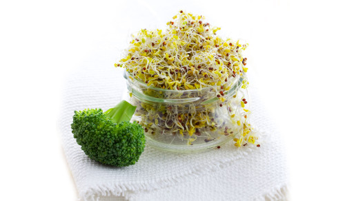 benefits-of-broccoli-sprouts
