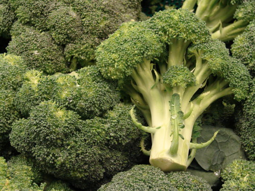 broccoli-3