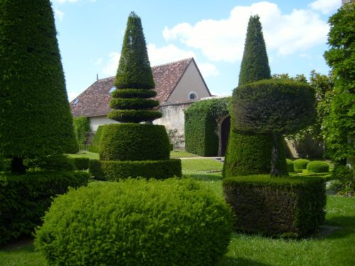 chateau_dazay-le-ferron_topiary-1024x768-1024x768