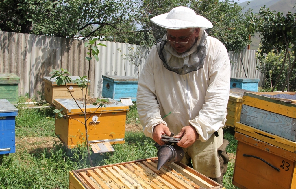 Вопрос второй: насколько трудно разводить пчел