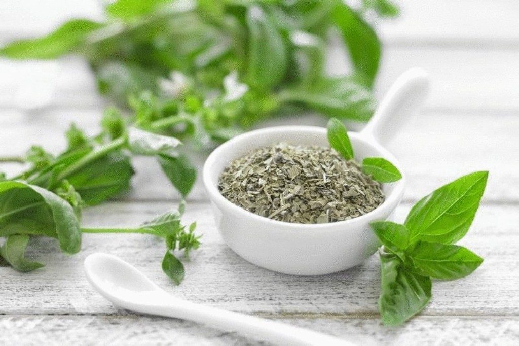 content_the_Use_of_basil_health__conet_ru