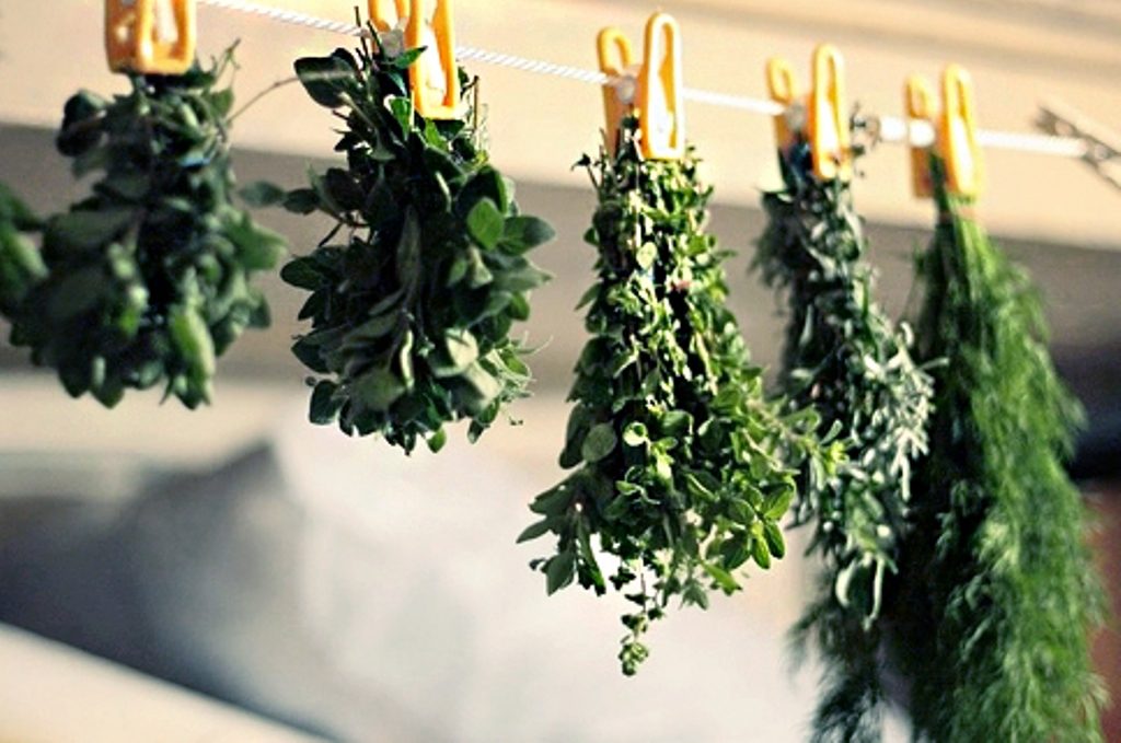 drying_Herbs.