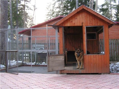 enclosure for dogs (16)