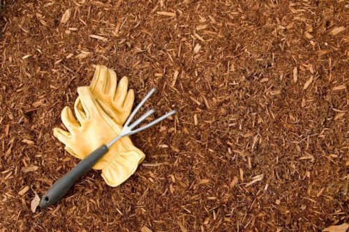 A pair of work gloves and a garden rake sit on a bed of bark mulch suitable for a background; Shutterstock ID 50469832; PO: GARDEN CLUB