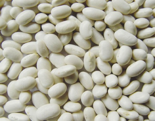 Biele-Kidney-Beans-JapNese-Type