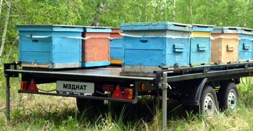 beehive in trailer