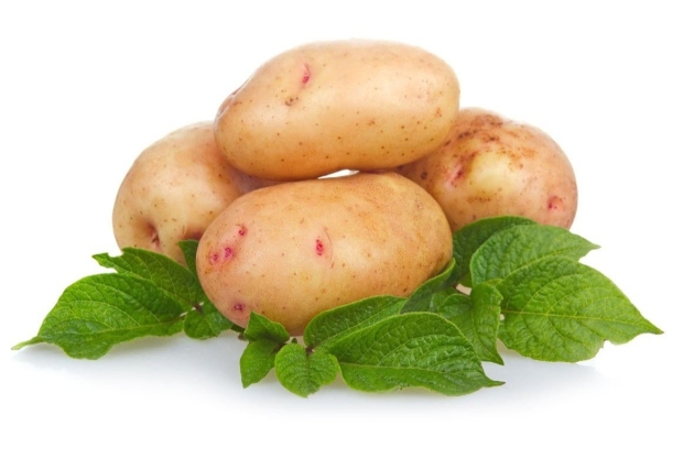 Varné odrody zemiakov: foto, popis, pristátie a starostlivosť