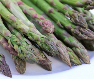 Asparagus, landing and care in open soil
