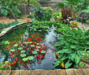 Typy záhradných nádrží