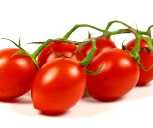 Tomates de cereja, pouso e cuidados