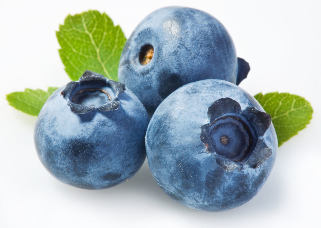 Garden Blueberry, кацане и хигиена