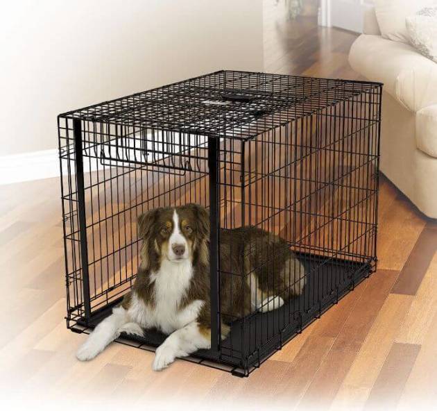Правильная клетка для собаки | Hill's