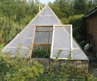 Greenhouse-piramida to naredite sami