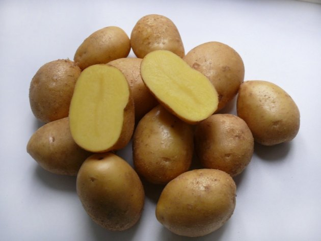 Batatas Nevsky: Descrição da variedade, peculiaridades