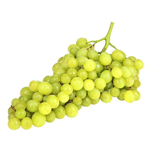 ყურძენი Kishmish, სადესანტო და ზრუნვა