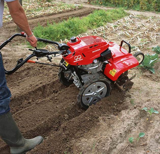 Qué elegir: cultivador o motoblock