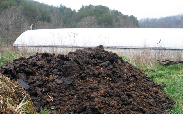 Hnojivo ako hnojivo: funkcie používania, normálne štandardy