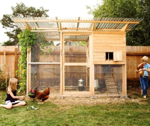 Πώς να οικοδομήσουμε ένα σπίτι πουλερικών
