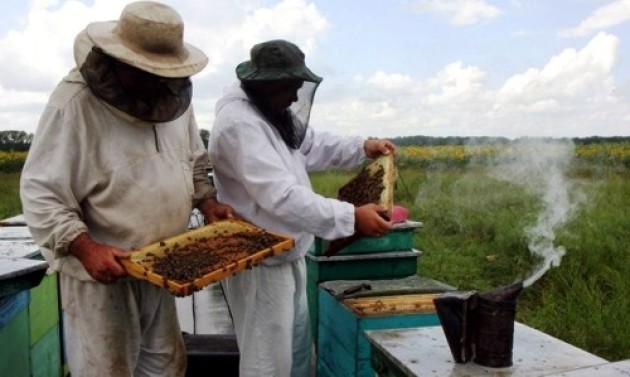 Mobile apiary with your own hands