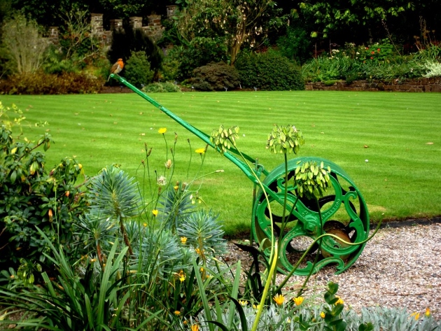 Озеленяване на тревата: характеристики на дизайна