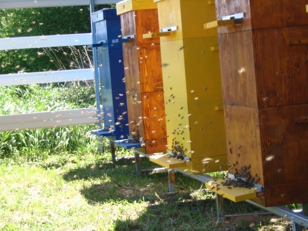 Формирование отводка пчел в многокорпусных ульях
