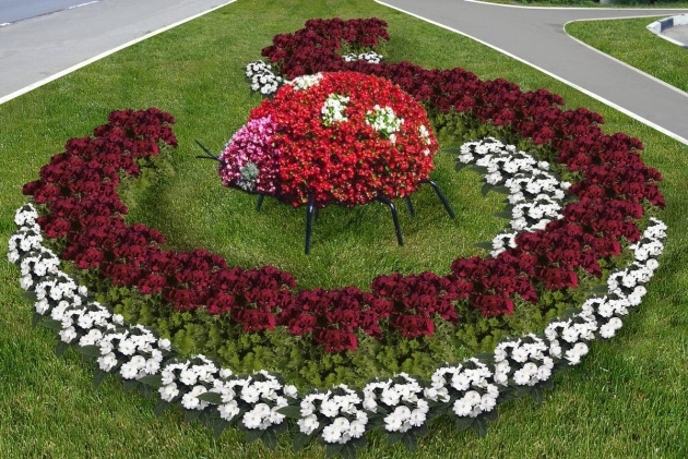 Design de jardim de flores - esquemas e opções de design