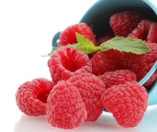 Raspberry, Landing and Care
