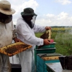 Мобилни пчелињак са вашим рукама