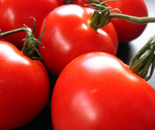 Tomato disease and their treatment