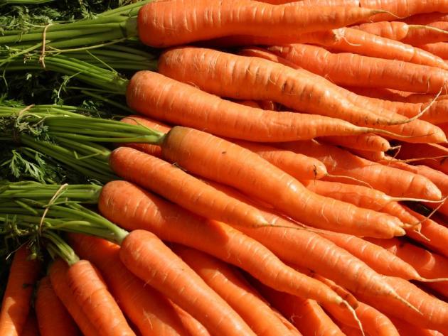 Как сажать морковь на ленте + видео