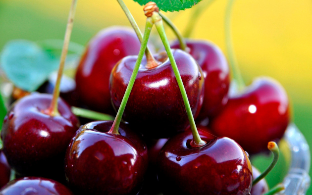 Cherry na záhradnom pozemku, zvláštnosti kultivácie a starostlivosti