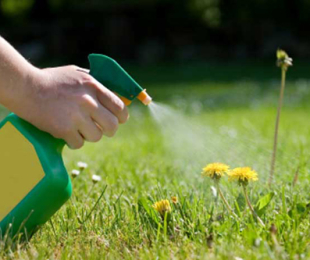 Como usar herbicidas no enredo do agregado familiar