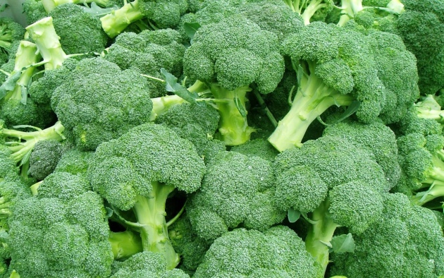 Broccoli zelje, pristanek in oskrba v odprtem tal