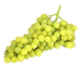 ყურძენი ქიშმში, სადესანტო და ზრუნვა