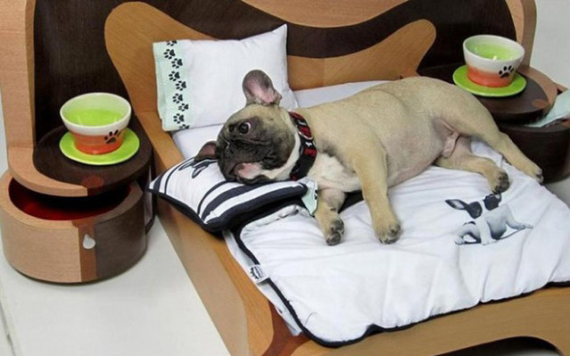 Лежак для собаки своими руками > интернет-магазин Harley and Cho