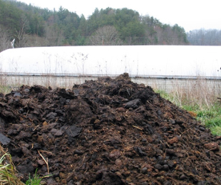 Manure as fertilizer: Features of use, application rate