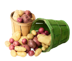Como crescer as batatas precoces