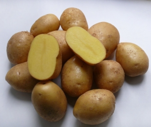 Nevsky krompir: Opis sorte, posebnosti